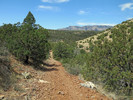 photo thumbnail #15