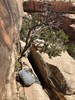 photo thumbnail #12