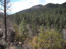 photo thumbnail #2