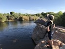 photo thumbnail #3