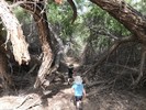 photo thumbnail #9