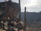photo thumbnail #9