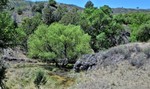 photo thumbnail #12