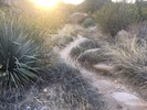 photo thumbnail #4