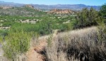 photo thumbnail #10