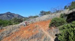 photo thumbnail #5