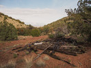 photo thumbnail #8