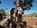 photo thumbnail #5