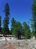 photo thumbnail #8