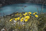 photo thumbnail #15