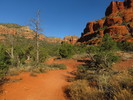 photo thumbnail #8