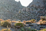 photo thumbnail #1