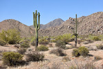 photo thumbnail #5