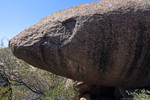 photo thumbnail #9