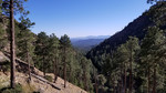 photo thumbnail #14