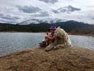 photo thumbnail #7