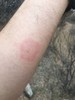photo thumbnail #9