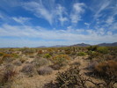 photo thumbnail #5