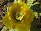 photo thumbnail #7