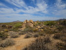 photo thumbnail #9