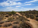 photo thumbnail #10