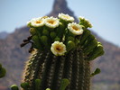 photo thumbnail #11