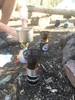 photo thumbnail #8