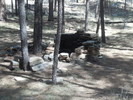 photo thumbnail #6