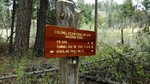 photo thumbnail #14