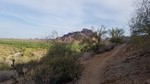 photo thumbnail #3