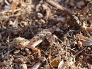 photo thumbnail #11