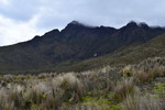 photo thumbnail #12