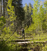 photo thumbnail #13