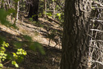 photo thumbnail #14