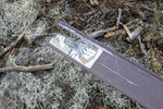 photo thumbnail #5