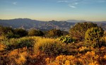 photo thumbnail #3