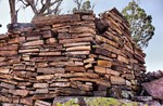 photo thumbnail #14