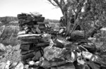 photo thumbnail #15