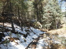 photo thumbnail #5