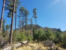 photo thumbnail #3