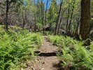 photo thumbnail #8