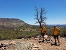 photo thumbnail #11