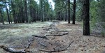 photo thumbnail #14