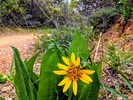 photo thumbnail #1