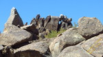 photo thumbnail #6