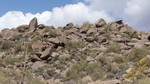 photo thumbnail #13