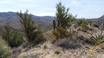 photo thumbnail #11
