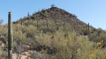 photo thumbnail #13
