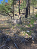 photo thumbnail #4