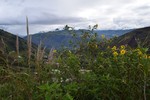 photo thumbnail #12